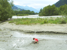 An der Isel: Flussauen sind Seltenheiten in Österreich