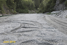 Frisch maschinenplaniertes Flussbett der Isel ebendort - Vernichtung eines Potentialbereiches der Tamariske (Frühjahr 2014)