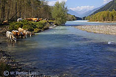 Flussjuwel Isel in Osttirol