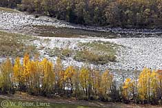 Herbstliche Isel bei St. Johann i.W. - Osttirol