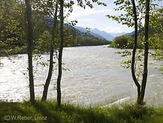 Die Isel bei Oberlienz im Sommer