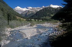 Kalserbach mit Tamarisken