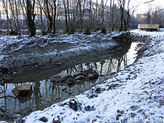 Winterruhe im neugeschaffenen Lebensraum