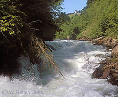 Die Schwarzach in St. Veit - künftig ein Rinnsal?