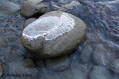 Stein mit Eishaube an der Isel
