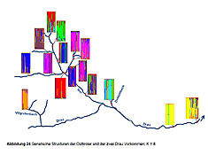 Genetische Struktur der Tamariskenvorkommen in Osttirol und an der Drau